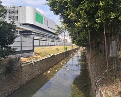 工程建設環境對城市生態會有什么影響？